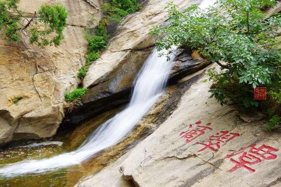 护林员年薪50万不许下山,只能带手机或者媳妇,干不干?-专业有问必答平台